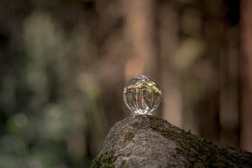 Obraz premium the concept of nature, green forest. Crystal ball on a wooden stump with leaves. Glass ball on a wooden stump covered with moss.