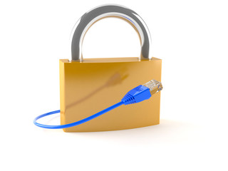 Padlock with internet cable