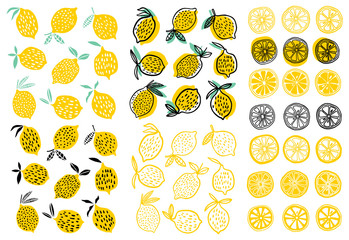 Lemon vector illustration - obrazy, fototapety, plakaty