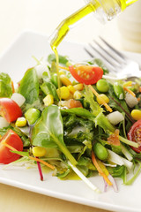 サラダ　イメージ　Mix salad image
