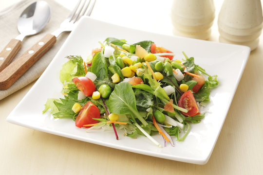 サラダ　イメージ　Mix salad image