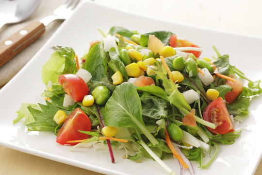 サラダ　イメージ　Mix salad image