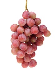 Bunch of red grapes isolated on white background.