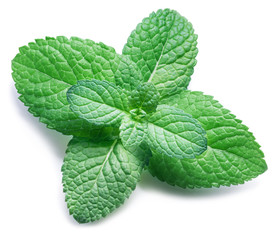 Spearmint or mint on white background. Top view. © volff