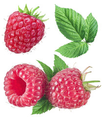 Collection of raspberries and leaves on white background.