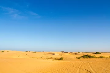 Foto auf Alu-Dibond désert de Lompoul   © ALF photo