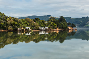 Fototapeta na wymiar Coastal view, Pacific coast of New Zealand, Otago Peninsula