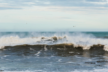 Kaka Point Beach in the Catlins, New Zealand