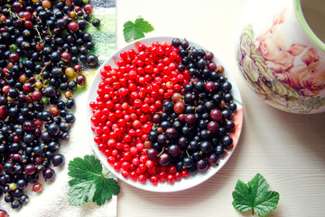 Vintage red and black currants. The concept of Yin and Yang, the unity of opposites, a complementarity, a good combination