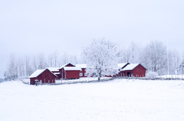 Farm barn in a cold winter landscape with snow and frost