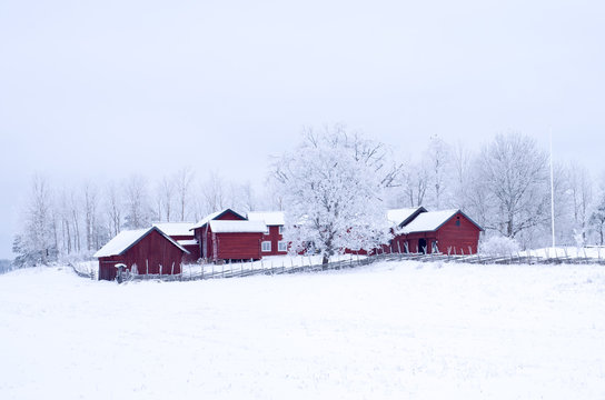 Farm Barn In A Cold Winter Landscape With Snow And Frost