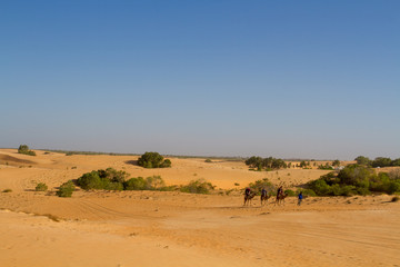 Désert de Lompoul