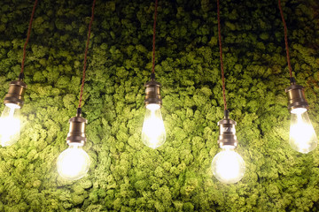 Light bulbs on green textured walls.