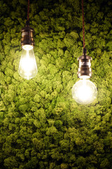 Light bulbs on green textured walls.