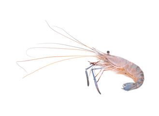 Raw shrimps isolated on white background