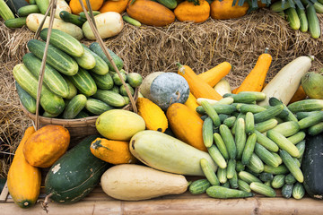 Vegetables background.Variation vegetables background