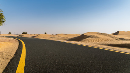 Al Qudra cycling track near Dubai, United Arab Emirates, Middle East