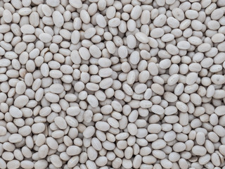 Dried White Beans