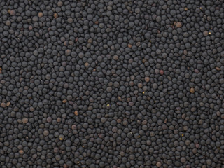 Dried Black Lentils