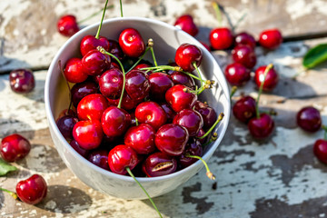 Close up of a bowl of freshly picked cherries placed on a white rustic table in the garden. Shallow depth of focus. Concept farming.