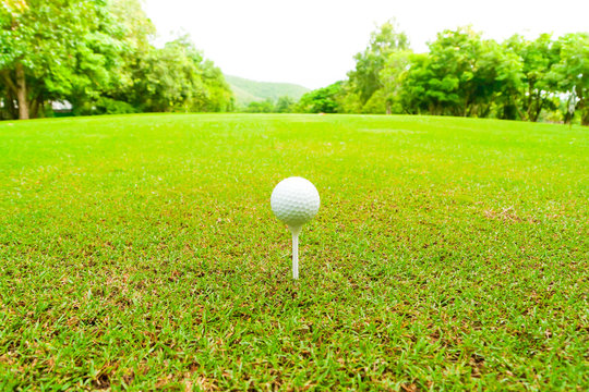 Golf ball on the green with tee, Close up.