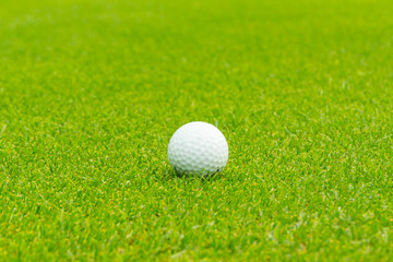 Golf ball on the green Close up.