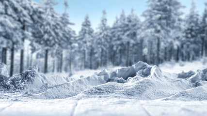 free space for your decoration and landscape of forest 