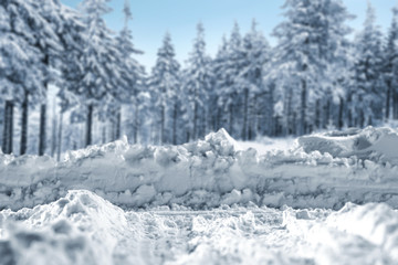 free space for your decoration and landscape of forest 
