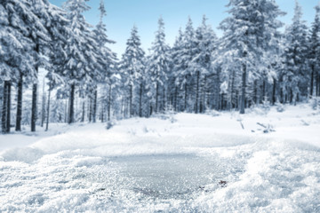 free space for your decoration and landscape of forest 