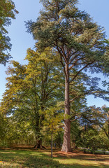 Landscape in park, Georgiav