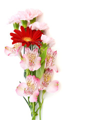 Small bouquet of flowers. Isolated on white.