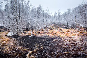 Fototapeta premium Wild Morrum river in snowy winter, Sweden