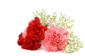 Bouquet of carnations isolated on white