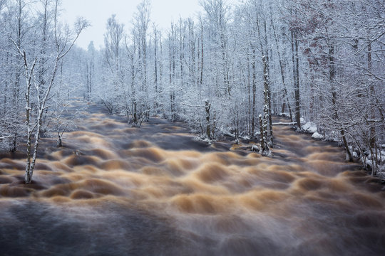 Wild Morrum river in snowy winter, Sweden