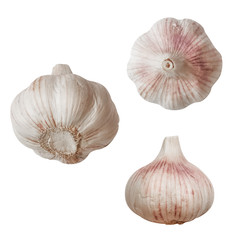 Garlic isolated on white