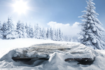 desk of free space and forest of window 