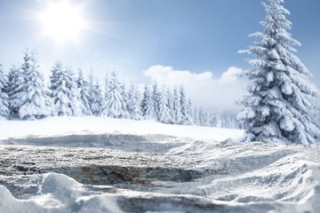 desk of free space and forest of window 