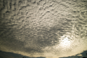 Partly cloudy in the morning sun, black.