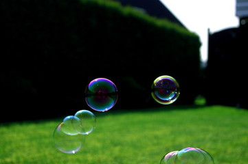 Bubbles im Wind! 