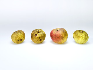 Alte Äpfel mit runzeliger Schale