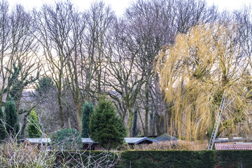 Leddar in the tree over the city roofs
