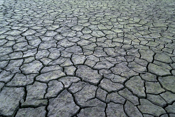 Detail of dry land on the shores of Ampollino Sila lake (calabria). Background