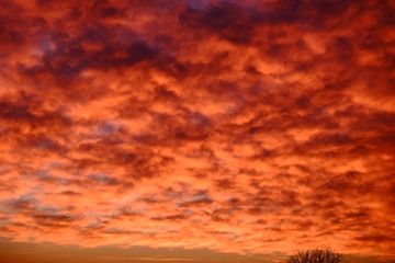 Fototapeta premium Sunset