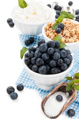 Fresh blueberries on table.