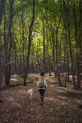 People with dogs in the fall forest autumn