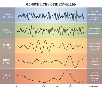 Ondes C&eacute;r&eacute;brales Humaines Diagramme / Illustration Multicolore - Texte et Explications en Allemand