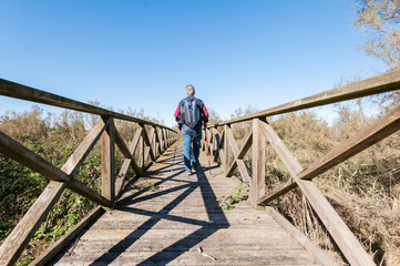 Fototapeta na wymiar Hiker (60 years old) on a wooden footbridge .