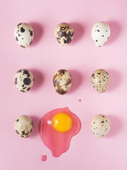Quail eggs on pink background. Shot from above. Food mishap