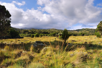 Mt Kilimanjaro, Tanzania