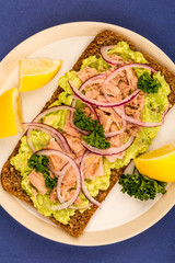 Tuna Fish and Avocado With Onions on Rye Bread Open Face Sandwich